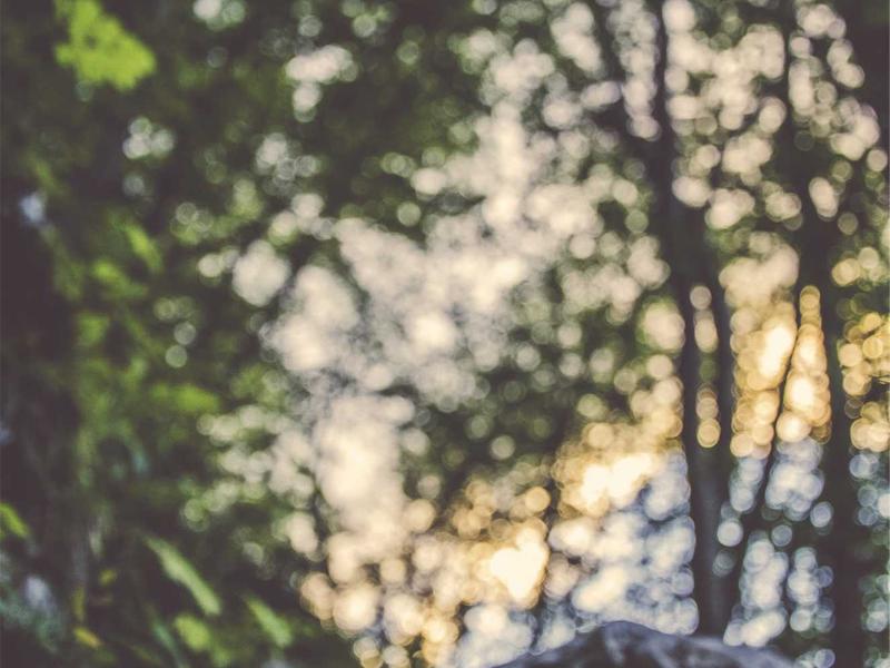 弦理论<br>aamotnk.cn 多维膜震动